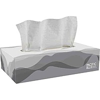 Envision® White Facial Tissue – 2-Ply, 100 Sheets per Box