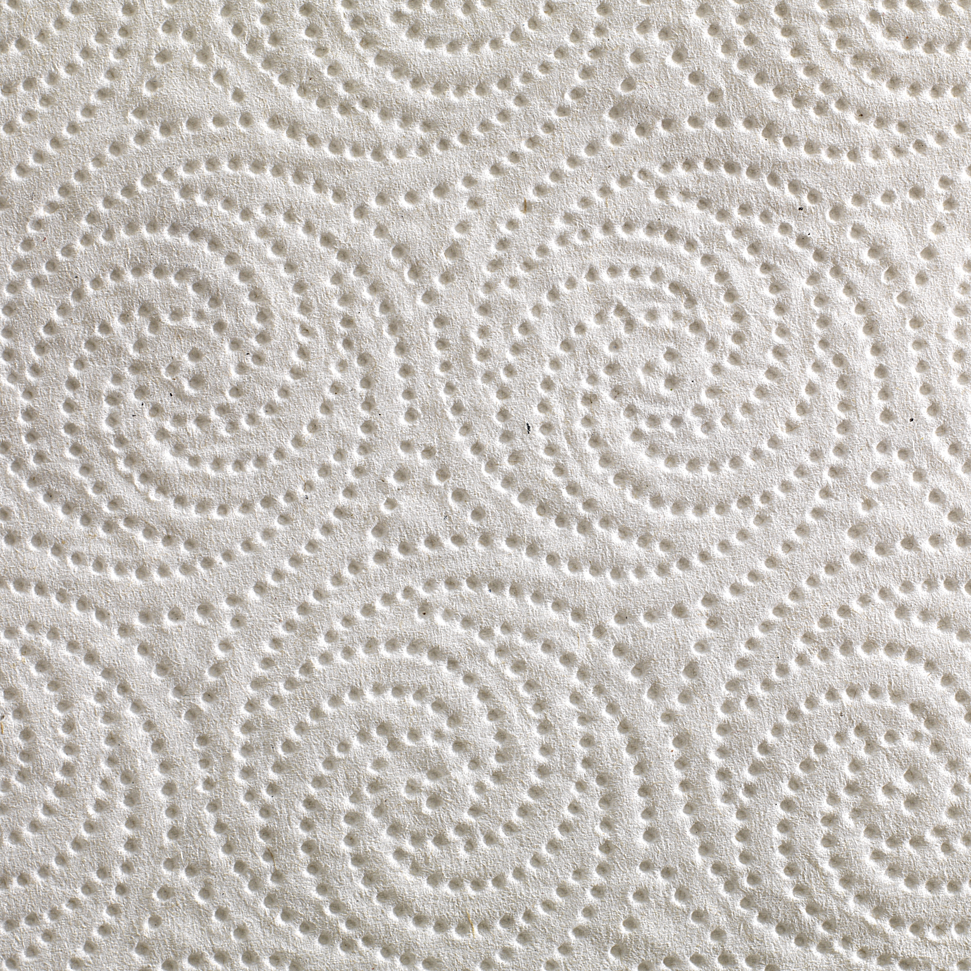 Pacific Blue Select™ Kitchen Paper Towel Perforated Roll 8-4/5 X 11 Inch (RL/85EA)