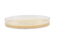 Mueller Hinton Agar Prepared Media Dehydrated (PK/10EA)