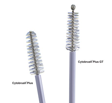 Cytobrush® Plus GT Cytology Brush 196 mm Length (BX/25BG/100EA)